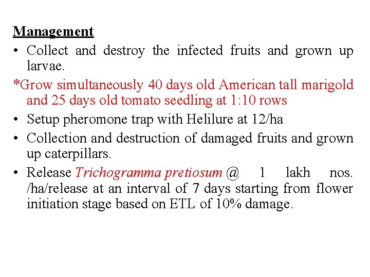 Management • Collect and destroy the infected fruits and grown up larvae. *Grow simultaneously
