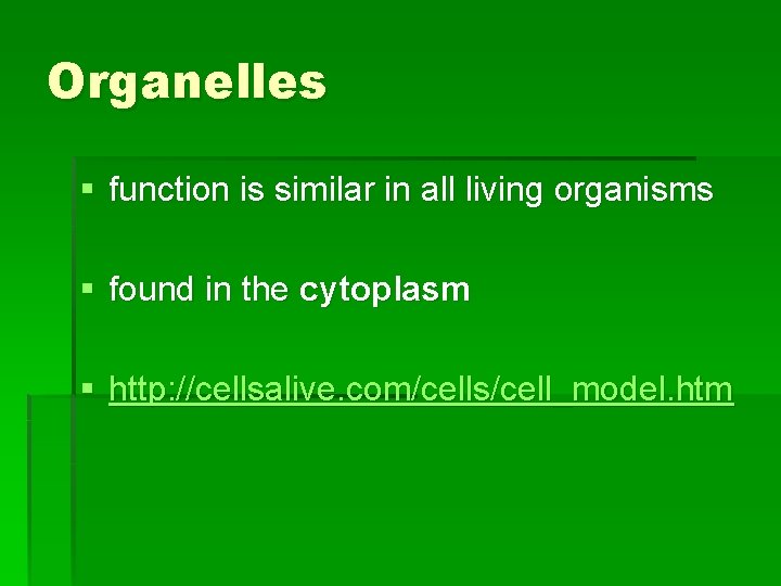 Organelles § function is similar in all living organisms § found in the cytoplasm