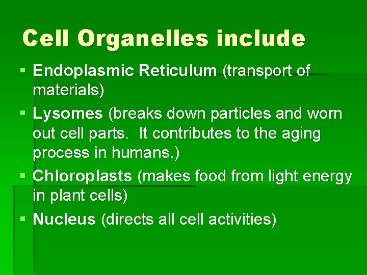 Cell Organelles include § Endoplasmic Reticulum (transport of materials) § Lysomes (breaks down particles