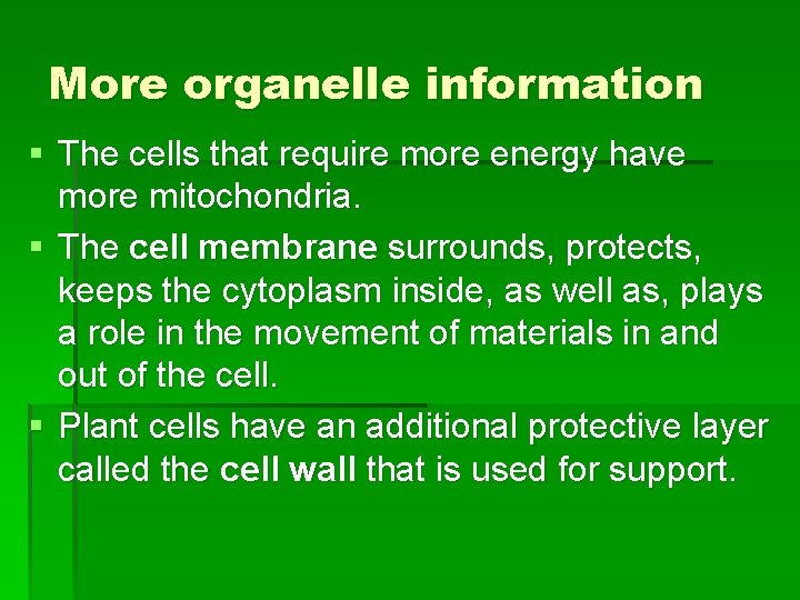 More organelle information § The cells that require more energy have more mitochondria. §