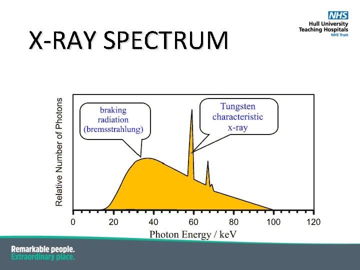 X-RAY SPECTRUM 