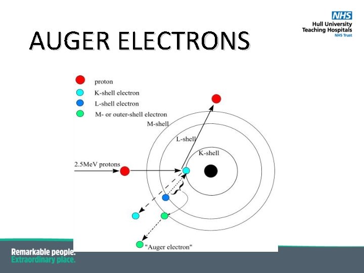 AUGER ELECTRONS 