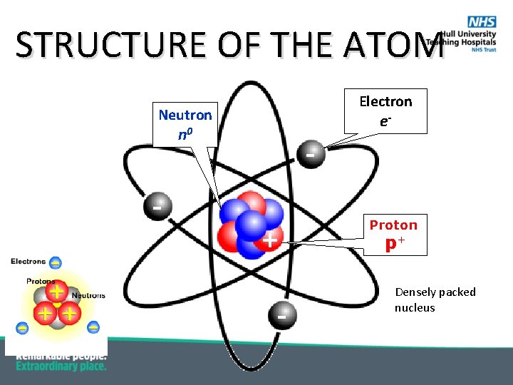 STRUCTURE OF THE ATOM Electron Neutron - n 0 + - e- Proton p+