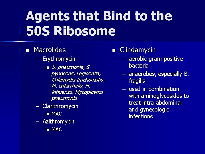 Agents that Bind to the 50 S Ribosome n Macrolides – Erythromycin n S.