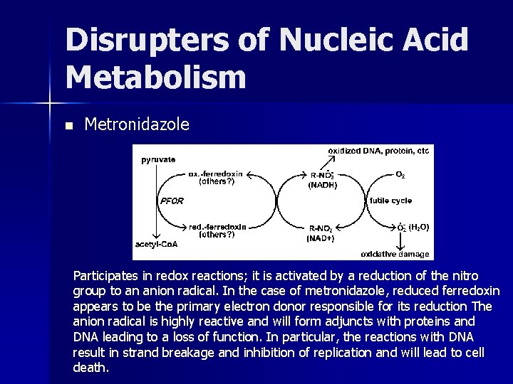 Disrupters of Nucleic Acid Metabolism n Metronidazole Participates in redox reactions; it is activated