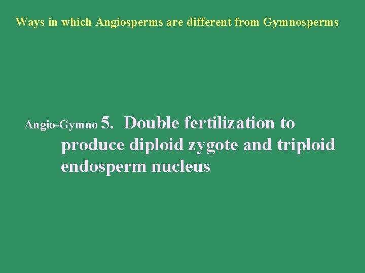 Ways in which Angiosperms are different from Gymnosperms Angio-Gymno 5. Double fertilization to produce