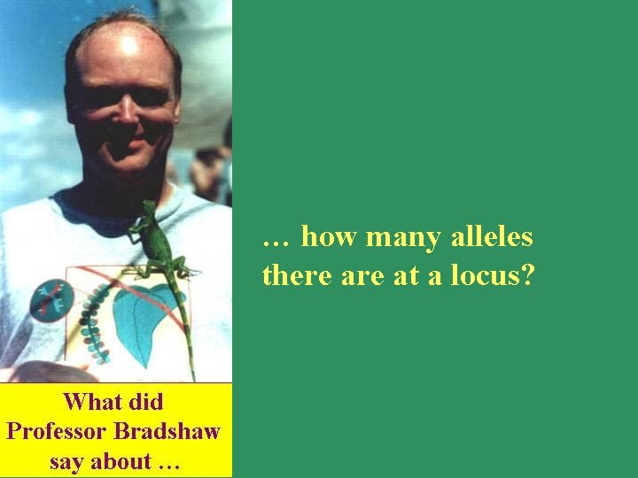 … how many alleles there at a locus? 