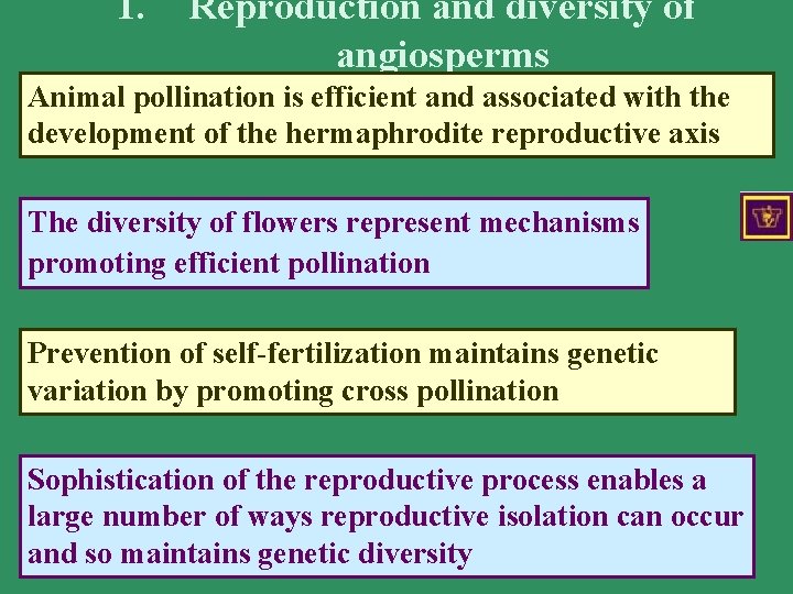 1. Reproduction and diversity of angiosperms Animal pollination is efficient and associated with the