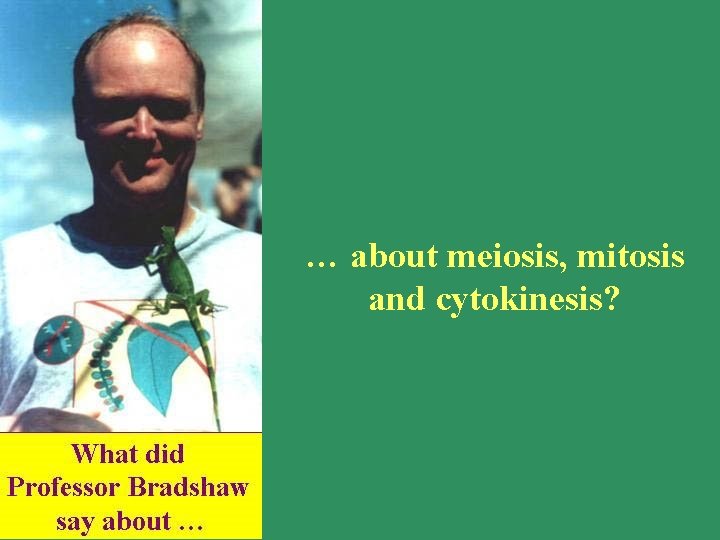 … about meiosis, mitosis and cytokinesis? 