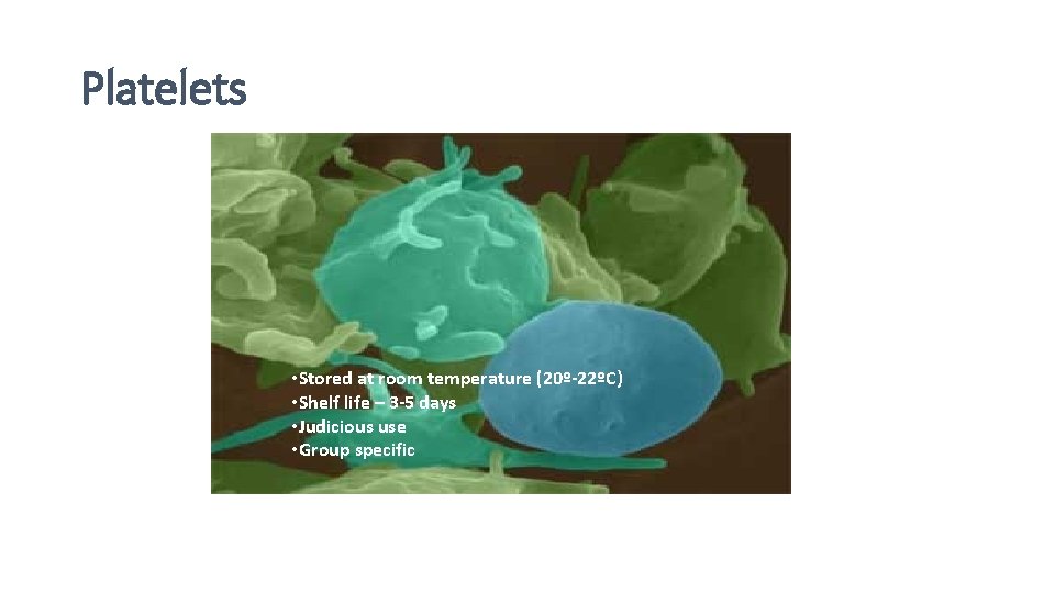 Platelets • Stored at room temperature (20º-22ºC) • Shelf life – 3 -5 days