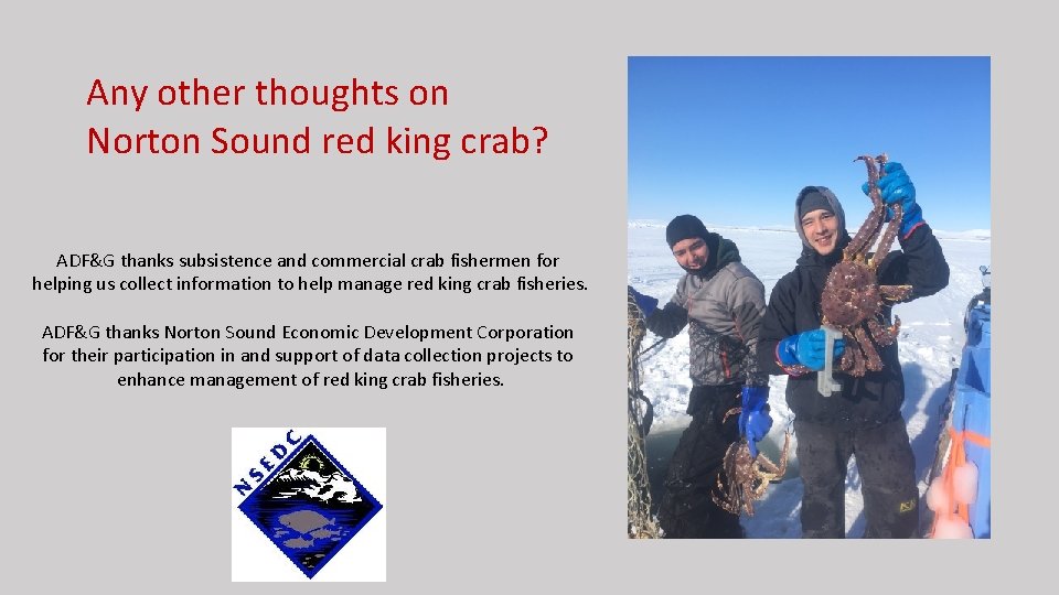 Any other thoughts on Norton Sound red king crab? ADF&G thanks subsistence and commercial