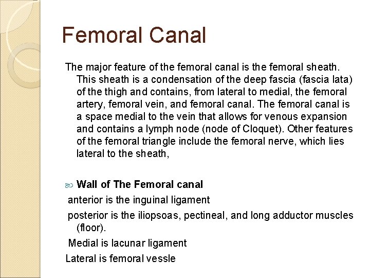 Femoral Canal The major feature of the femoral canal is the femoral sheath. This