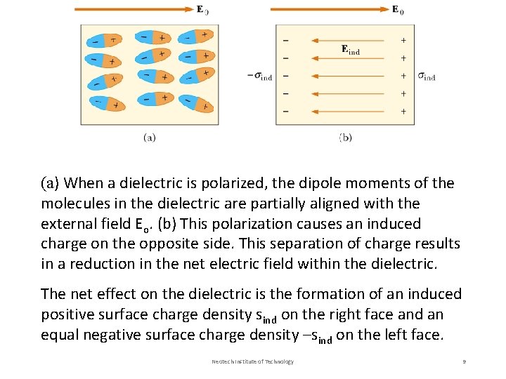 (a) When a dielectric is polarized, the dipole moments of the molecules in the