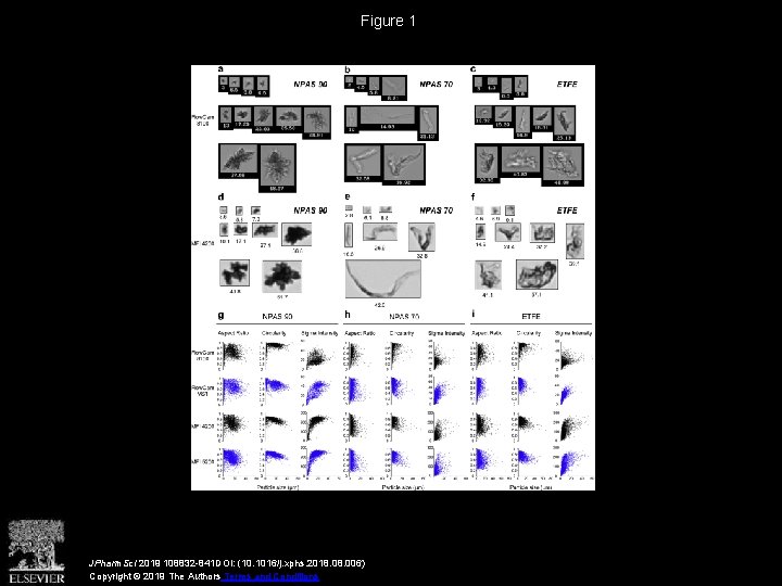 Figure 1 JPharm. Sci 2019 108832 -841 DOI: (10. 1016/j. xphs. 2018. 006) Copyright