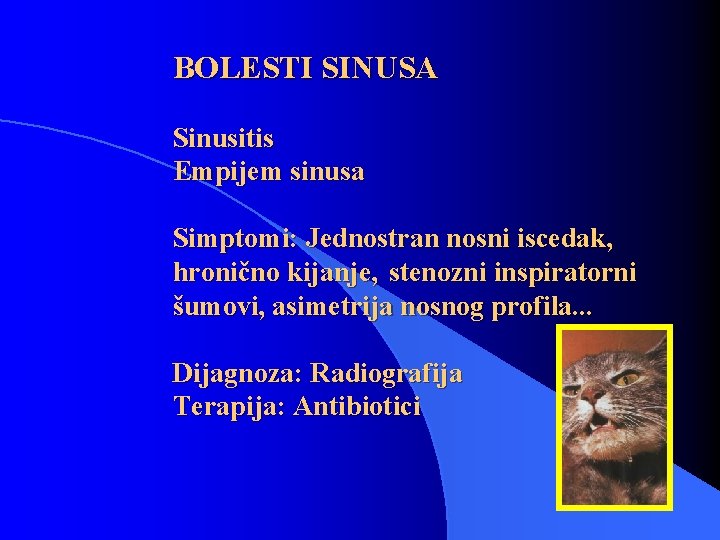 BOLESTI SINUSA Sinusitis Empijem sinusa Simptomi: Jednostran nosni iscedak, hronično kijanje, stenozni inspiratorni šumovi,