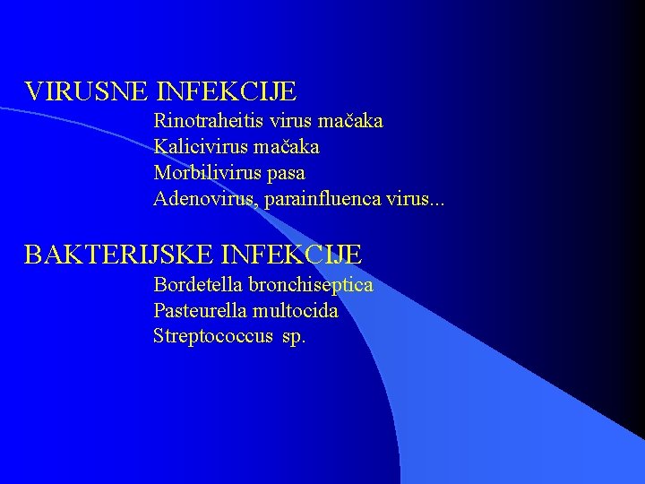 VIRUSNE INFEKCIJE Rinotraheitis virus mačaka Kalicivirus mačaka Morbilivirus pasa Adenovirus, parainfluenca virus. . .