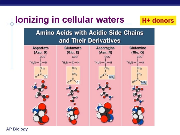 Ionizing in cellular waters AP Biology H+ donors 