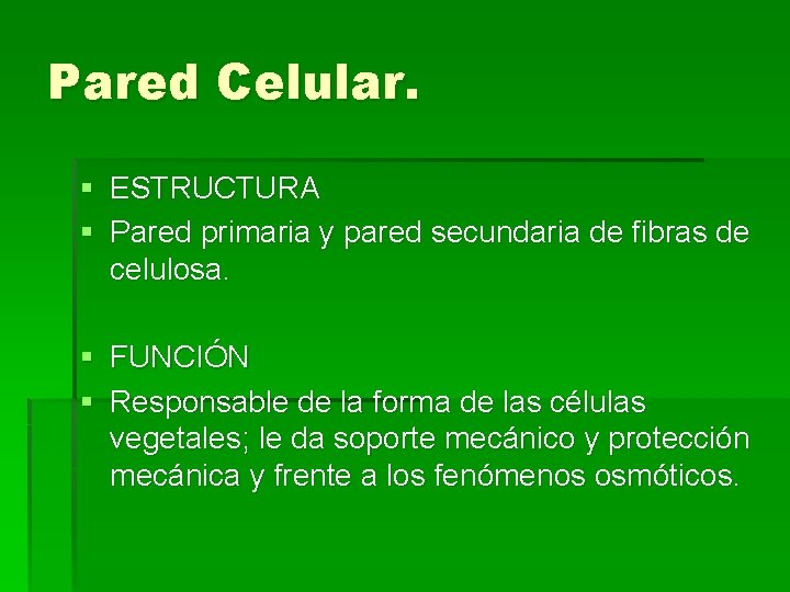 Pared Celular. § ESTRUCTURA § Pared primaria y pared secundaria de fibras de celulosa.
