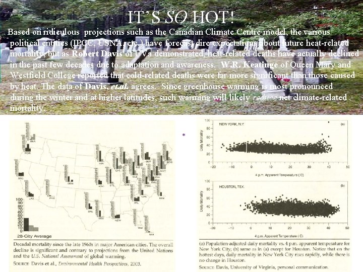 IT’S SO HOT! Based on ridiculous projections such as the Canadian Climate Centre model,