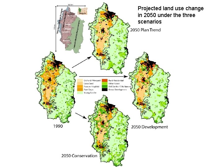 Projected land use change in 2050 under the three scenarios 