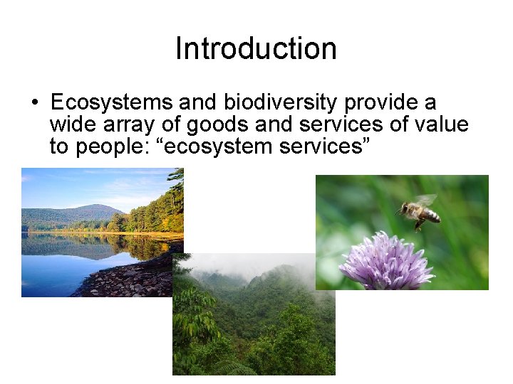 Introduction • Ecosystems and biodiversity provide a wide array of goods and services of