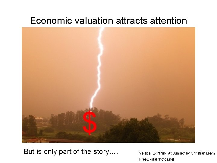 Economic valuation attracts attention $ But is only part of the story…. Vertical Lightning