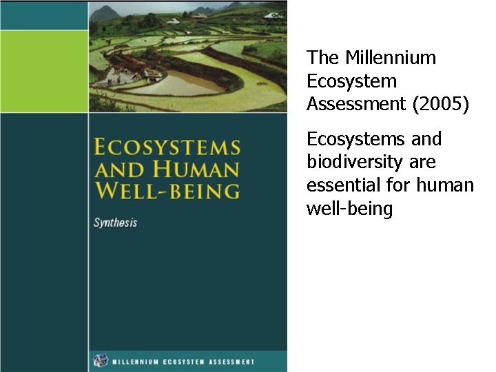 The Millennium Ecosystem Assessment (2005) Ecosystems and biodiversity are essential for human well-being 
