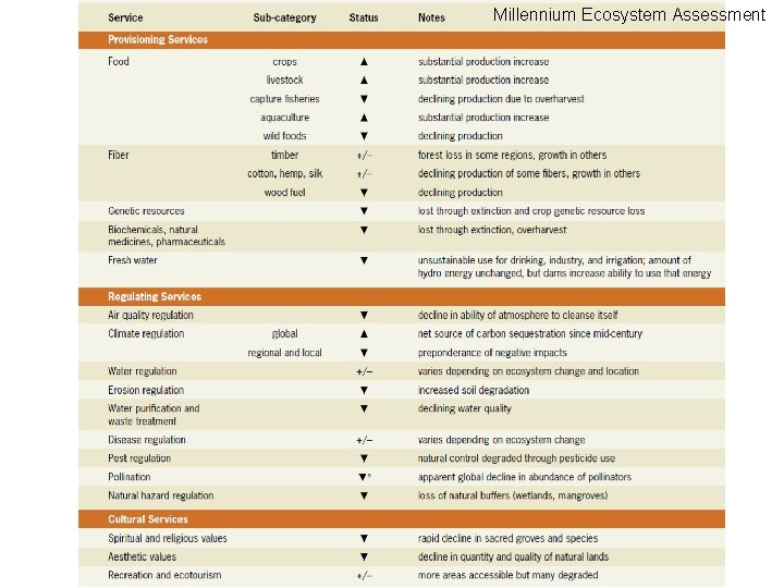 Millennium Ecosystem Assessment 