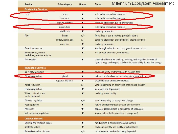 Millennium Ecosystem Assessment 