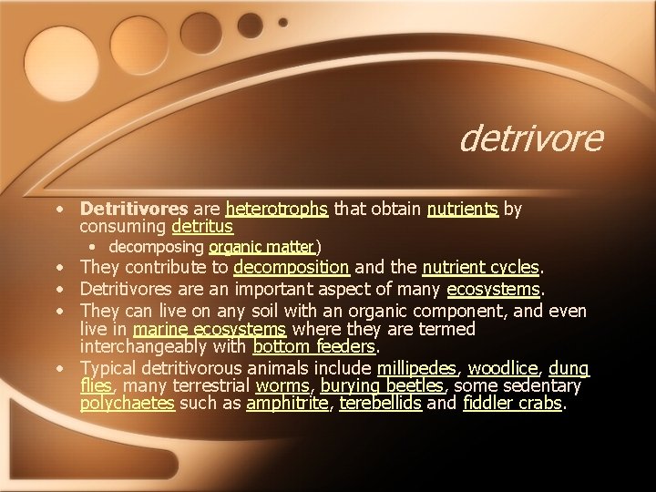 detrivore • Detritivores are heterotrophs that obtain nutrients by consuming detritus • decomposing organic