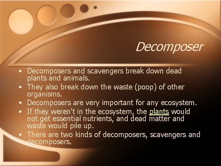 Decomposer • Decomposers and scavengers break down dead plants and animals. • They also