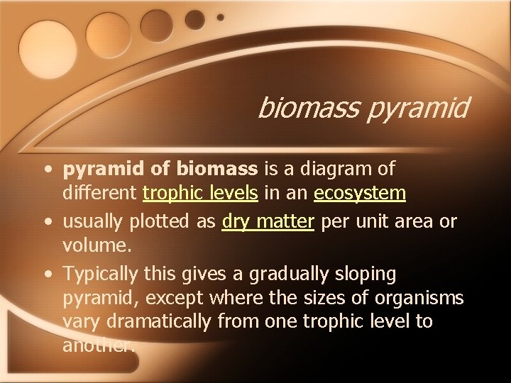 biomass pyramid • pyramid of biomass is a diagram of different trophic levels in