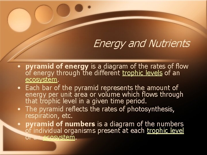 Energy and Nutrients • pyramid of energy is a diagram of the rates of