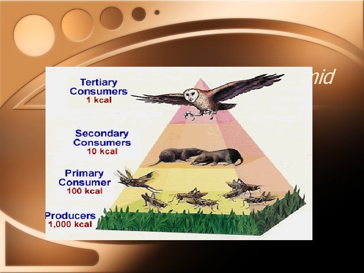 Energy Pyramid 