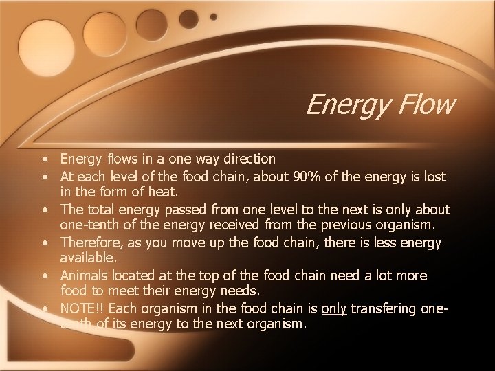 Energy Flow • Energy flows in a one way direction • At each level