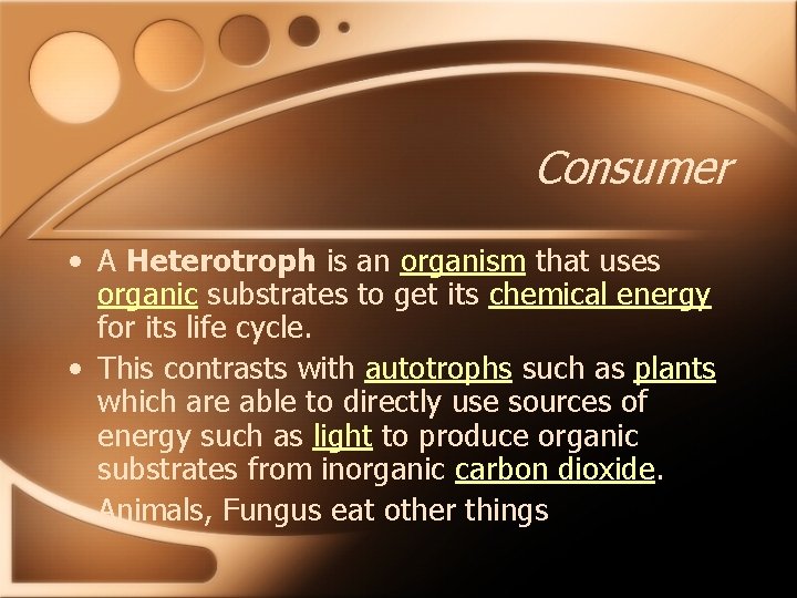 Consumer • A Heterotroph is an organism that uses organic substrates to get its