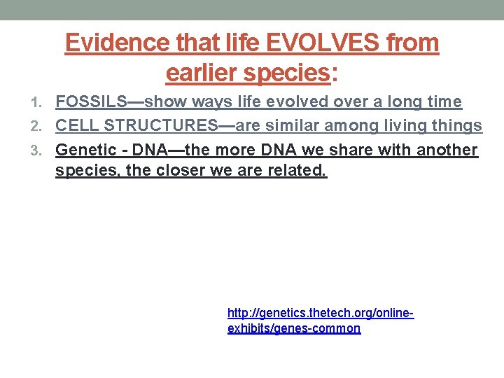 Evidence that life EVOLVES from earlier species: 1. FOSSILS—show ways life evolved over a