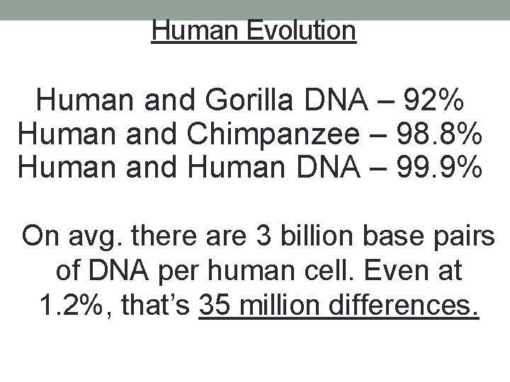 Human Evolution Human and Gorilla DNA – 92% Human and Chimpanzee – 98. 8%