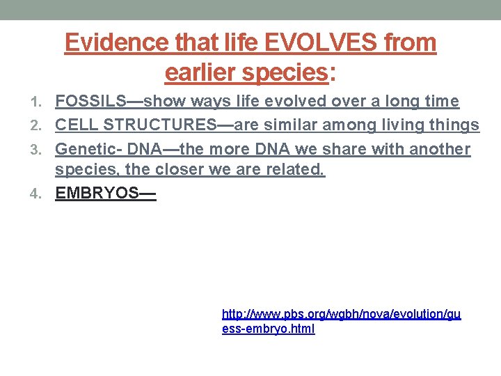 Evidence that life EVOLVES from earlier species: 1. FOSSILS—show ways life evolved over a