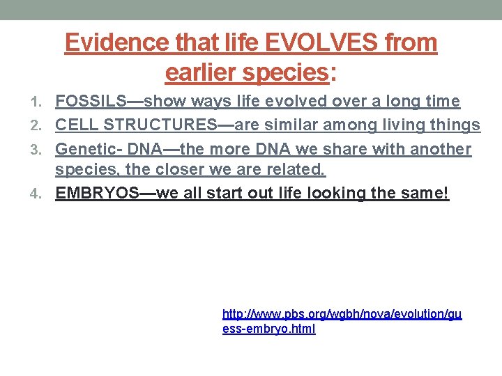Evidence that life EVOLVES from earlier species: 1. FOSSILS—show ways life evolved over a