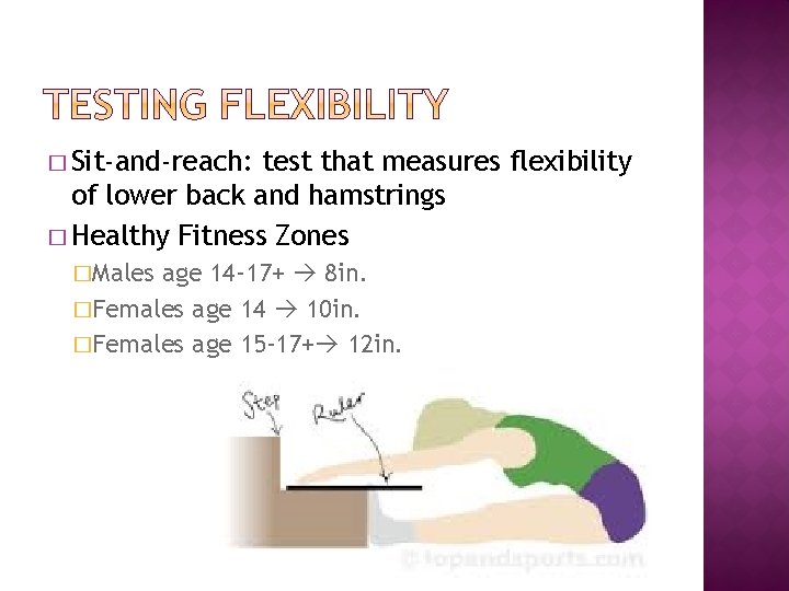 � Sit-and-reach: test that measures flexibility of lower back and hamstrings � Healthy Fitness