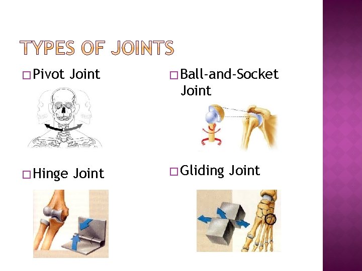 � Pivot Joint � Ball-and-Socket Joint � Hinge Joint � Gliding Joint 