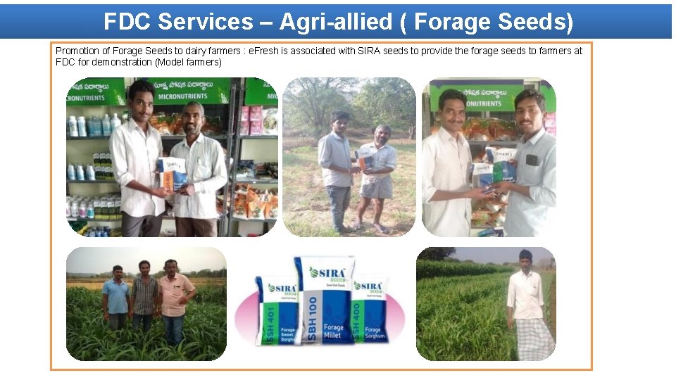 FDC Services – Agri-allied ( Forage Seeds) Promotion of Forage Seeds to dairy farmers