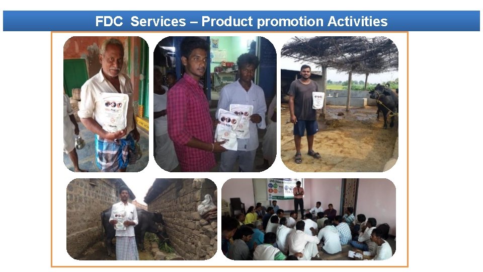 FDC Services – Product promotion Activities 