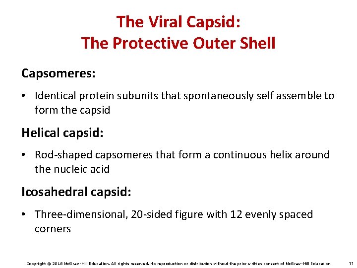 The Viral Capsid: The Protective Outer Shell Capsomeres: • Identical protein subunits that spontaneously