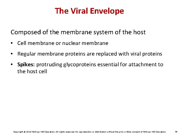 The Viral Envelope Composed of the membrane system of the host • Cell membrane