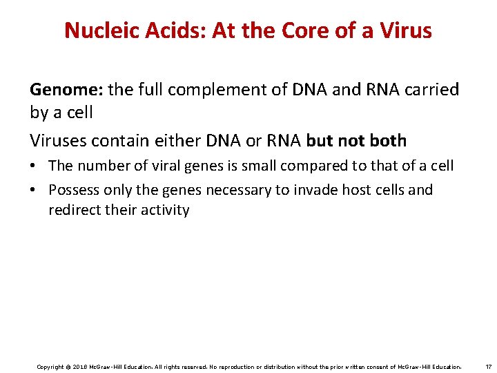 Nucleic Acids: At the Core of a Virus Genome: the full complement of DNA