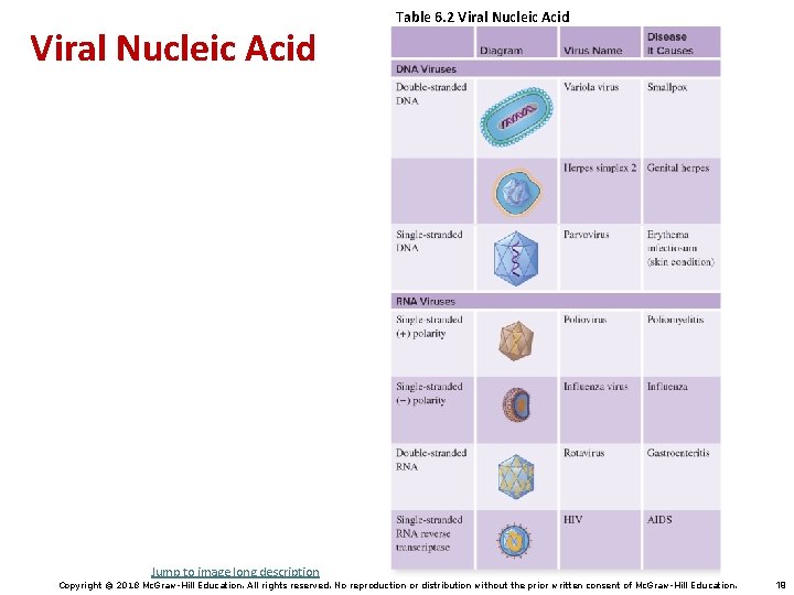 Viral Nucleic Acid Table 6. 2 Viral Nucleic Acid Jump to image long description