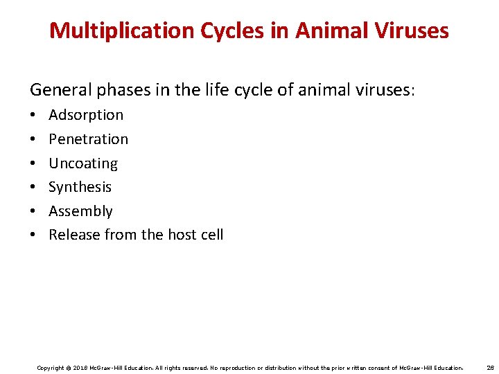 Multiplication Cycles in Animal Viruses General phases in the life cycle of animal viruses: