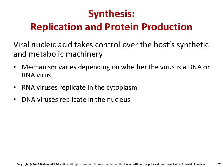 Synthesis: Replication and Protein Production Viral nucleic acid takes control over the host’s synthetic